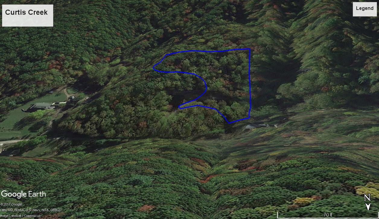 Candler Asheville Real Estate Foreclosure Keller Williams Realty